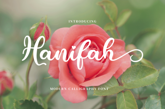 Hanifah Font Review: A Modern Script for Branding Projects
