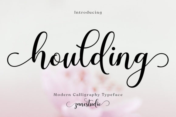Houlding: A Graceful Font for Branding Success
