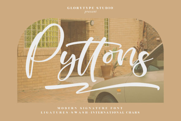How Pyttons Elevated My Brand’s Visual Identity